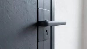 drzwi wejsciowe antracyt