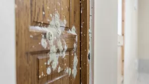 jakie drzwi do łazienki