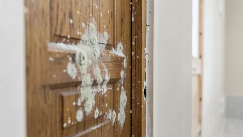 jakie drzwi do łazienki